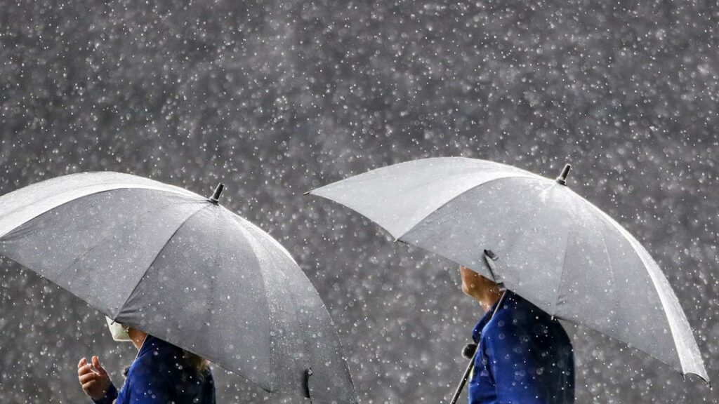 South Australia recorded its wettest summer in five years.
