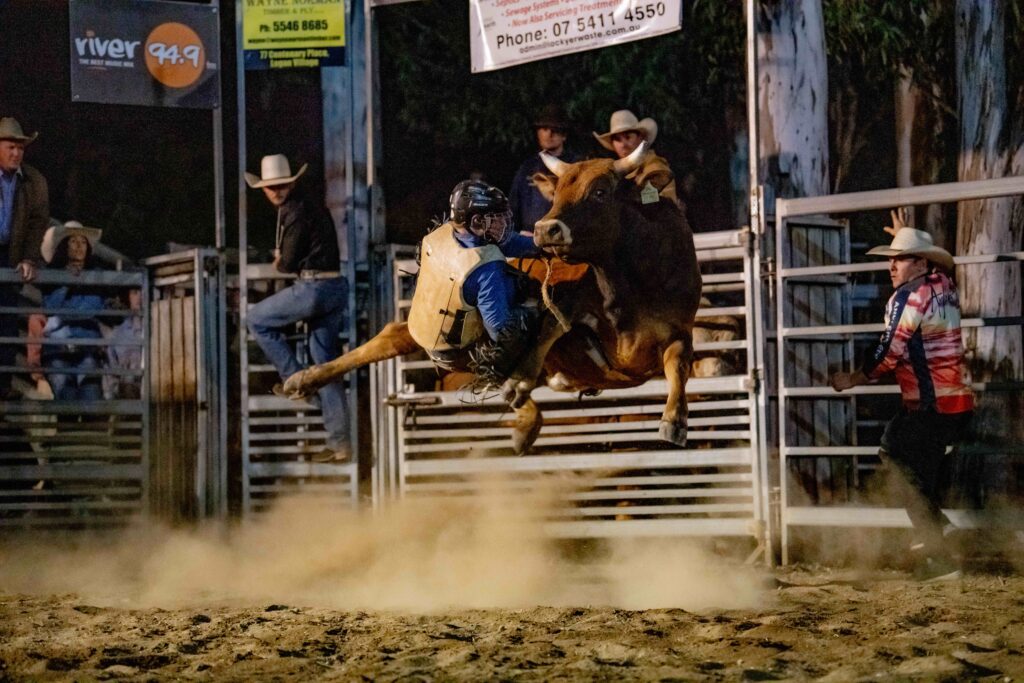 Bull action at the rodeo