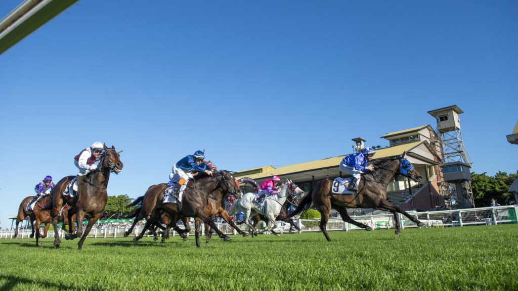 Treasurer Cameron Dick says the new levy wil ensure betting firms support Qld’s racing industry.
