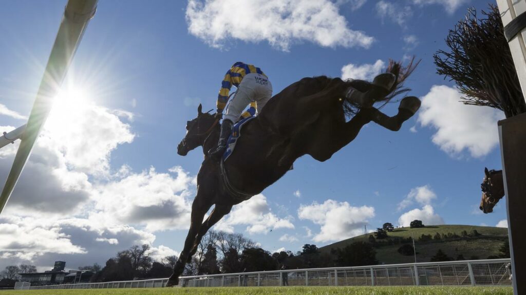 South Australia’s parliament has passed legislation to ban jumps racing in the state.
