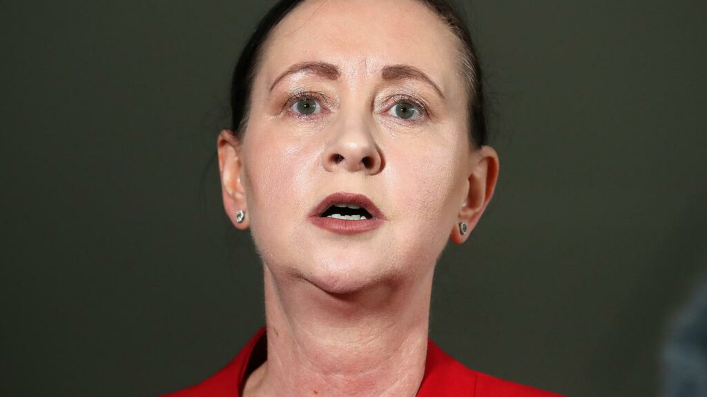 The government is doing everything it can to make hospital beds available, Yvette D’ath says.
