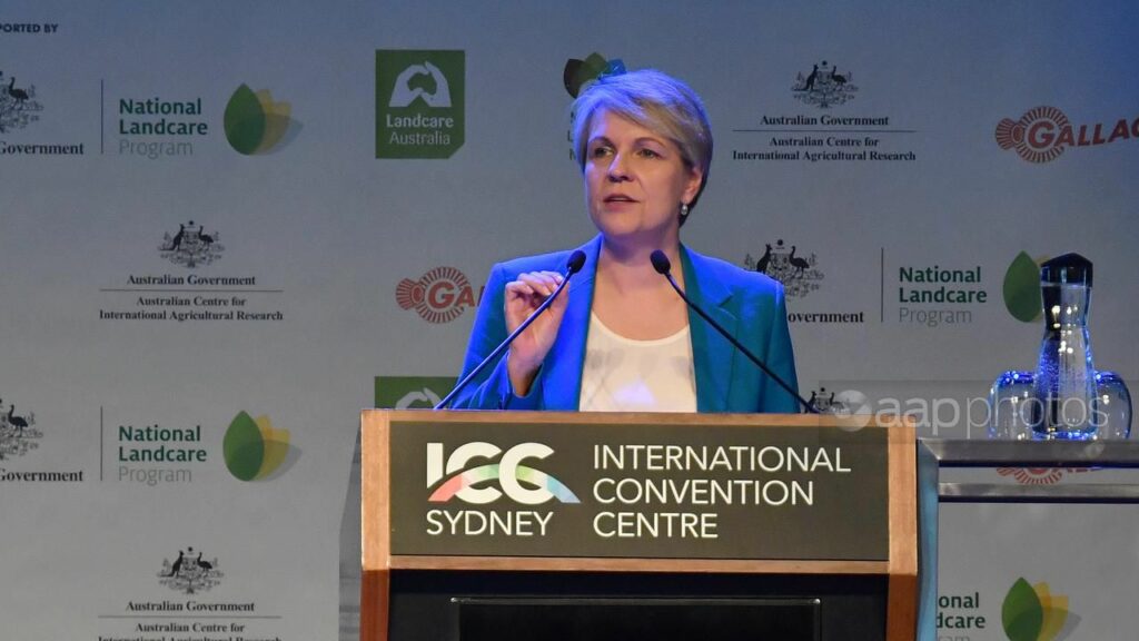 Regional plans play a key role in saving Australia’s sick environment, Tanya Plibersek says. (Bianca De Marchi/AAP PHOTOS)