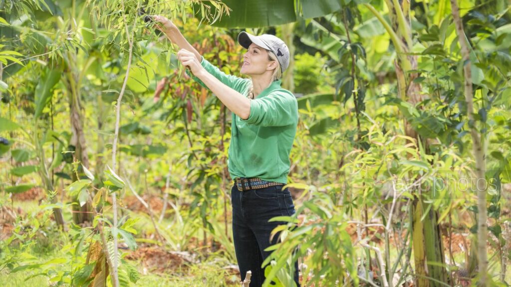 Samantha Forbes at James Cook University is investigating a new way of farming. (VERONICA SAGREDO)