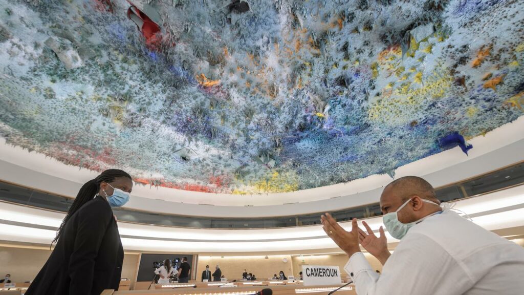 Many Muslim countries have sided with China in a UN human rights council vote on Xinjiang policy.