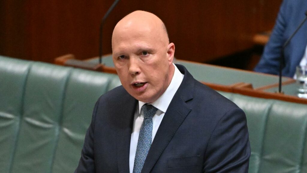 Peter Dutton says the government has “raised a white flag” on providing lower energy bills.
