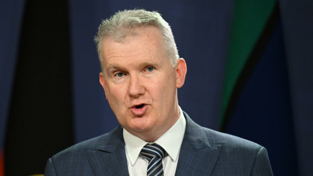 Tony Burke says the repatriation decision was informed by the best national security advice.
