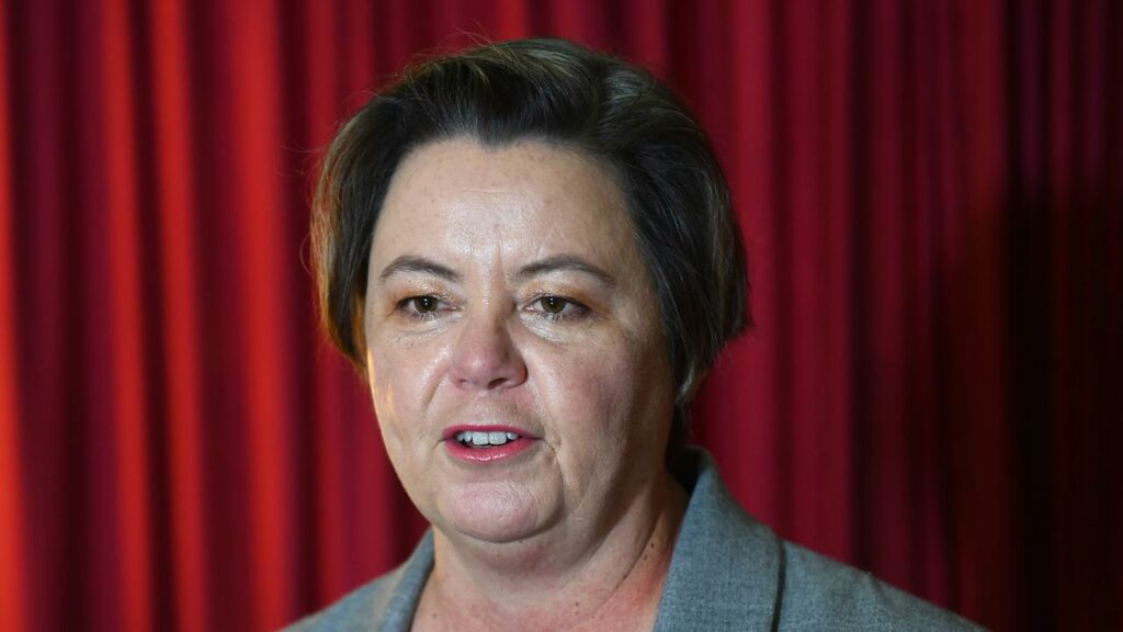 Madeleine King says northern Australia needs federal support for social projects.
