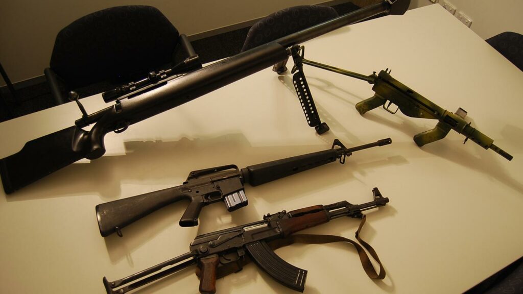 PM Anthony Albanese wants to discuss gun registration information with the states and territories.