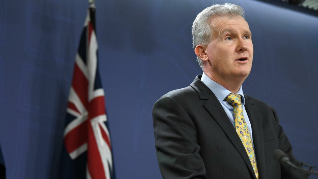 Tony Burke says a new investment will help Australian artists reach an international audience.