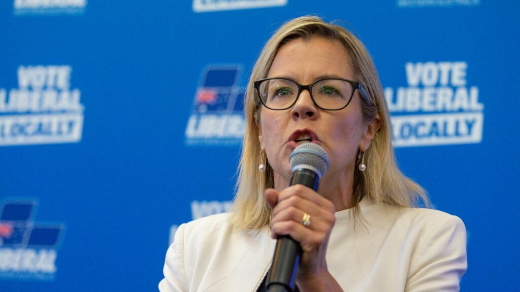 Libby Mettam is challenging David Honey for the leadership of the WA Liberals.