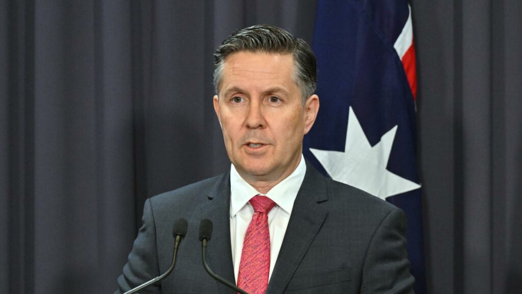 Mark Butler and other health ministers have agreed on a review of public hospital funding.