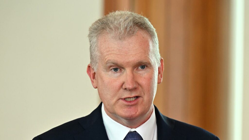 Tony Burke wants tax changes on super to prevent concession costs outstripping the aged pension.
