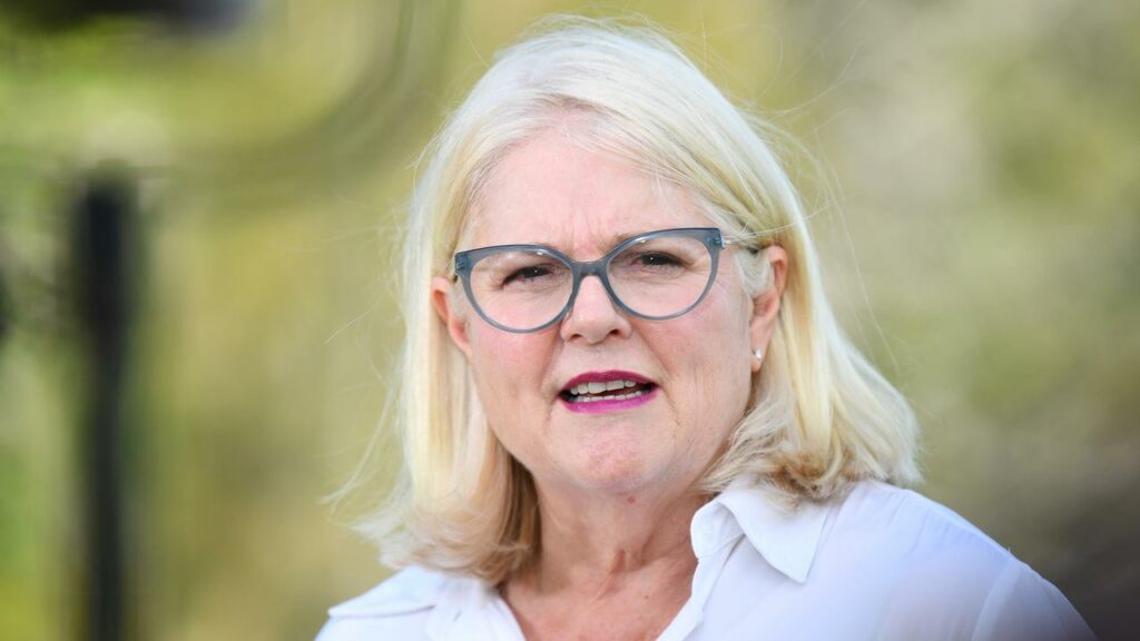 Former home affairs minister Karen Andrews announced her retirement at the next federal election.