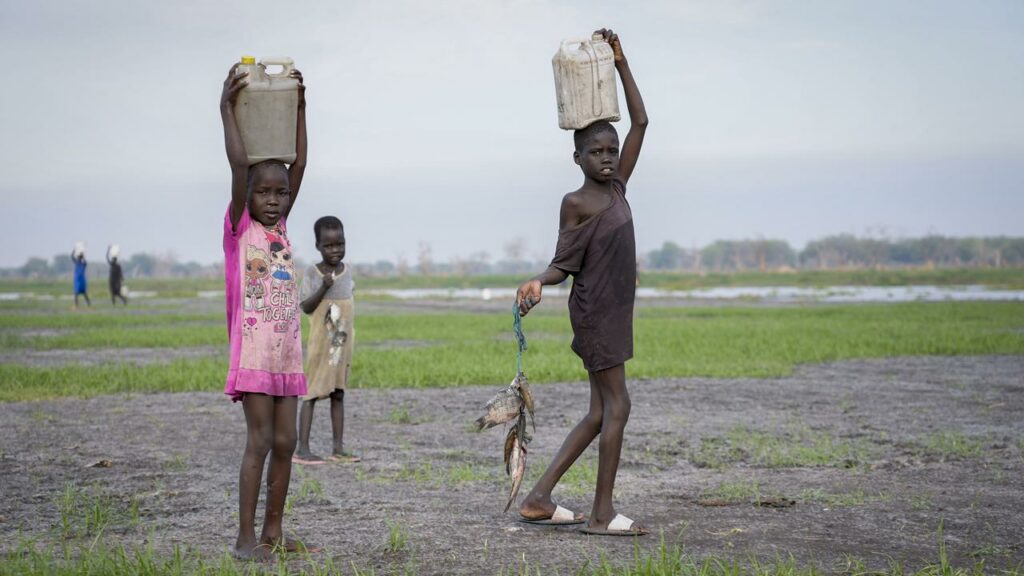 The ongoing conflict in Sudan has displaced more than 700,000 people inside the country.