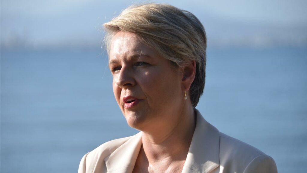 Federal Environment Minister Tanya Plibersek says she has cancelled two coal projects in Queensland.