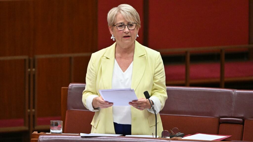 Senator Barbara Pocock tried to have the names of PwC employees involved in a tax scandal tabled.