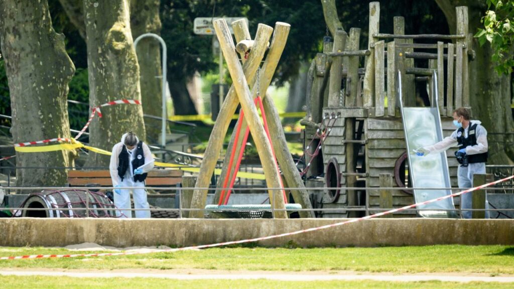 A video of a knife attack shows a man enter a playground and lunge at a child in a stroller.