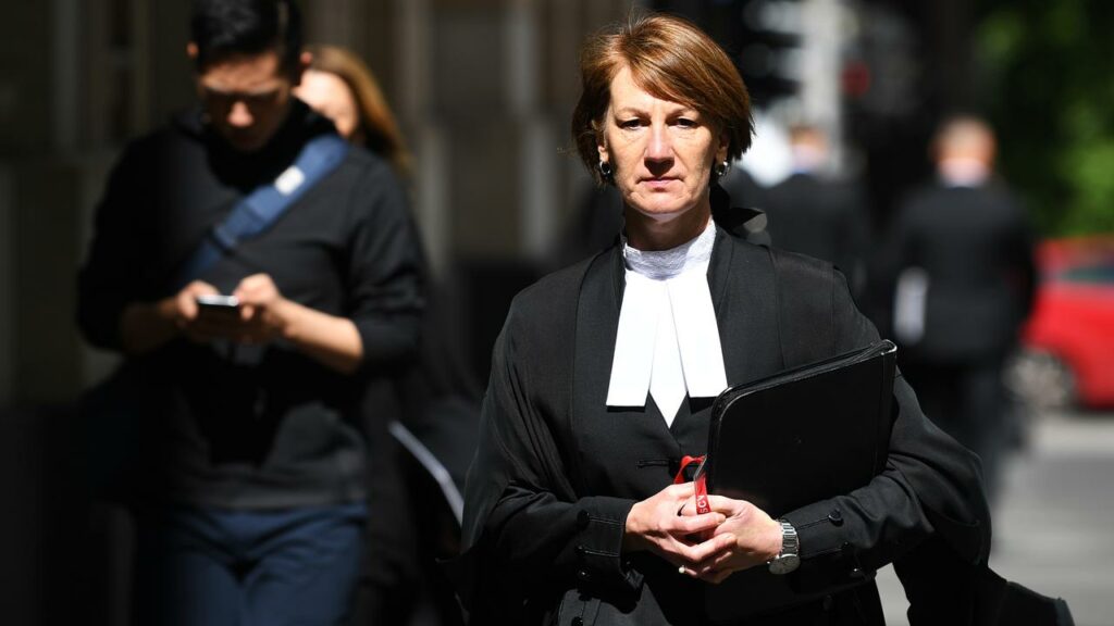 Director of Public Prosecutions Kerri Judd is in a public spat with investigator Geoffrey Nettle.