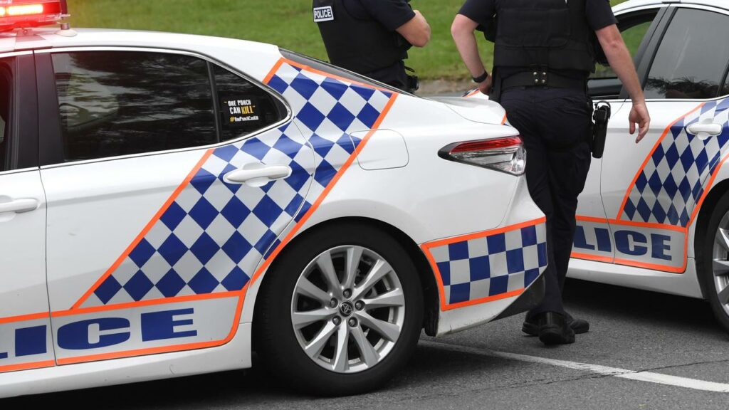 Three men have been arrested after three men and a dog were stabbed at a home south of Brisbane.