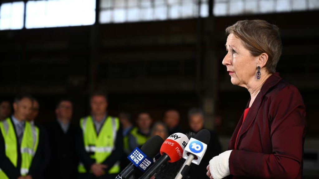 Skills minister Di Farmer says a new jobs program will help 15,000 people get into the workforce.