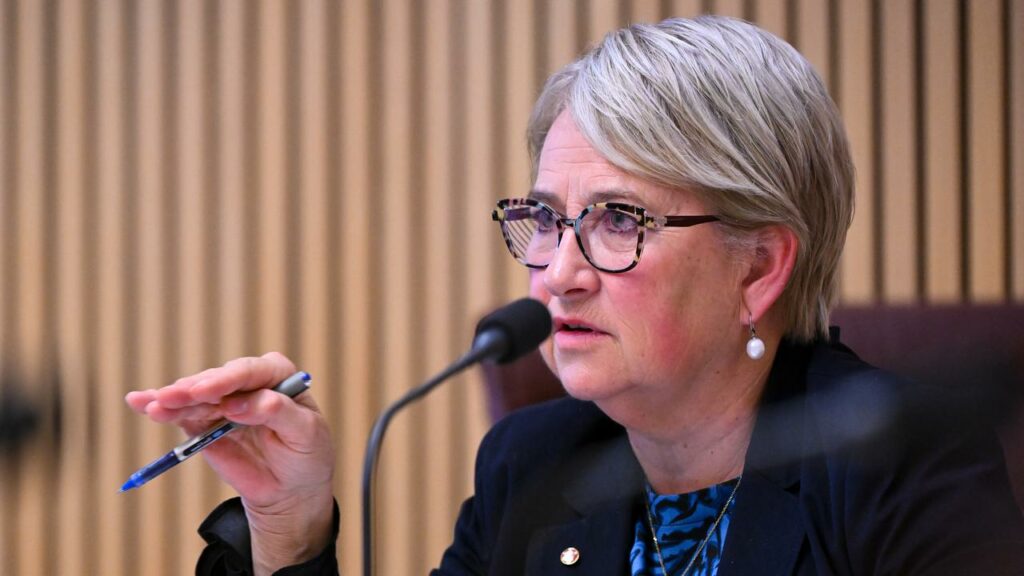 Senator Barbara Pocock has led the push for an inquiry into Australia’s biggest consulting firms.