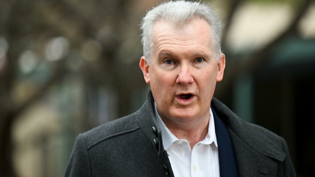 Tony Burke says new gig worker protections will apply to people who are “employee-like”.