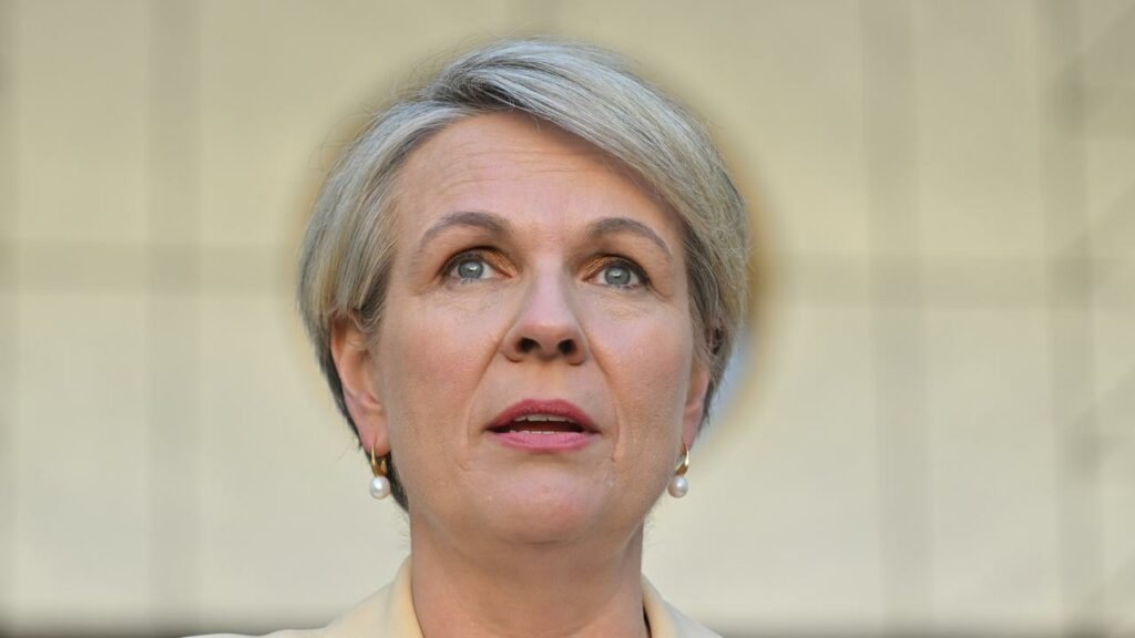 Tanya Plibersek has defended her approval of a major coalmine expansion in central Queensland.