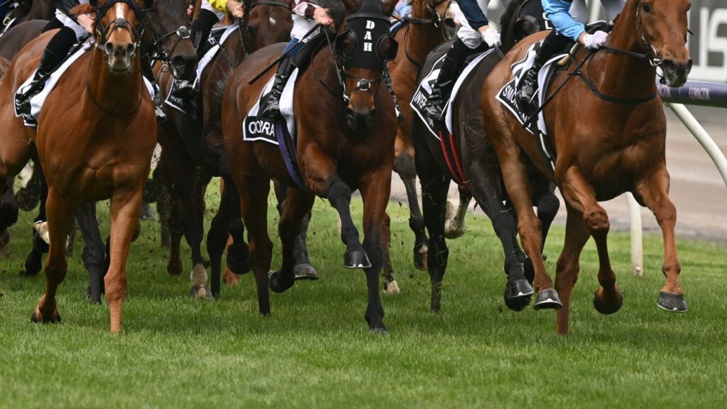 A commissioner has issued a report into victim support and complaints in Victoria’s racing industry.