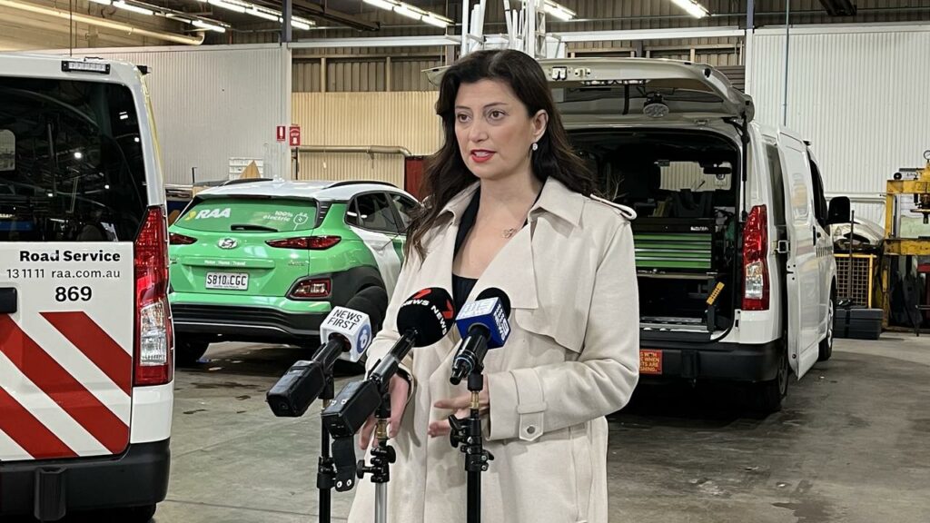 Minister Andrea Michaels has unveiled plans for harsher penalties for dodgy used car dealers in SA.