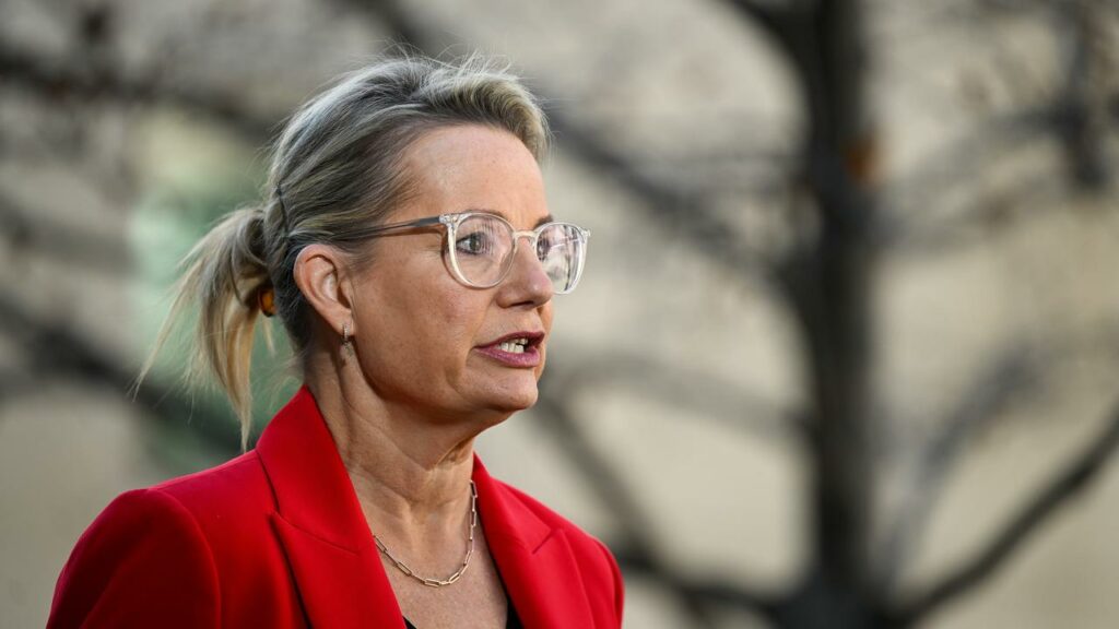 Sussan Ley has criticised Ed Husic for straying from the government’s position on Mideast violence.