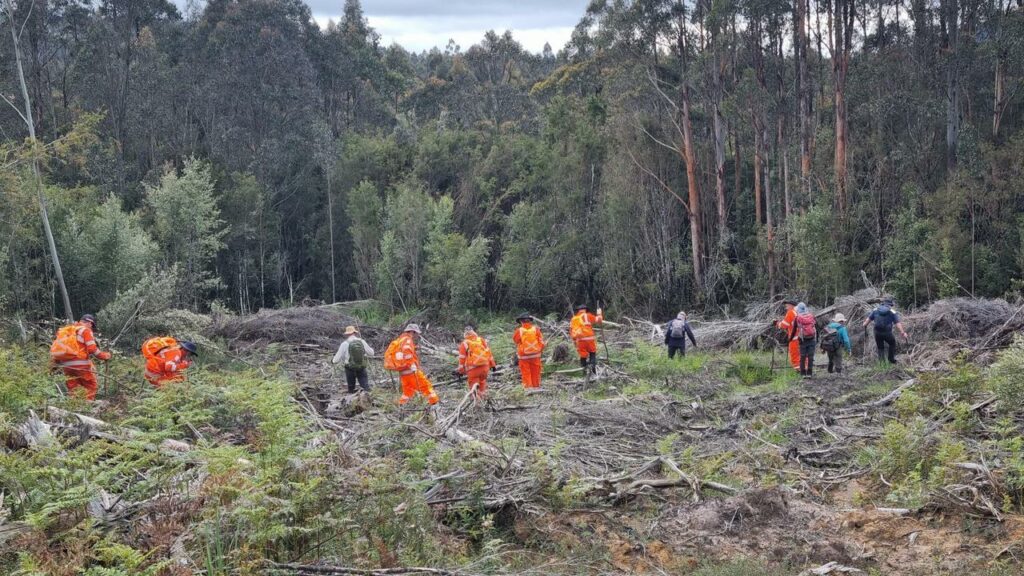 Police in Tasmania have renewed a search for a bushwalker who went missing in 2017.