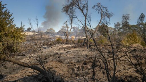 BUSHFIRES TASMANIA