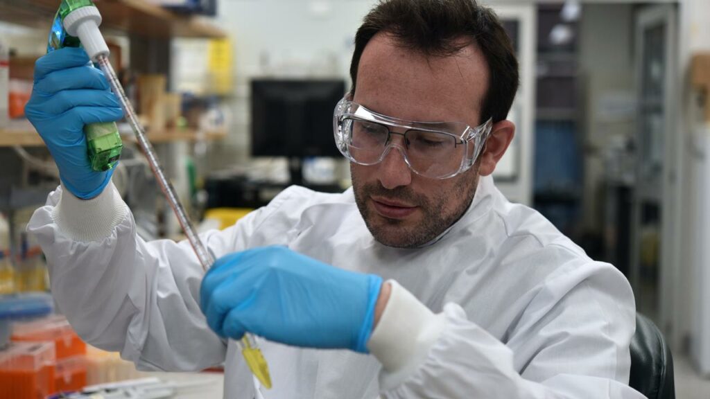 Lead researcher Dr Julio Aguado said four drugs were found to rejuvenate the brain after viruses.