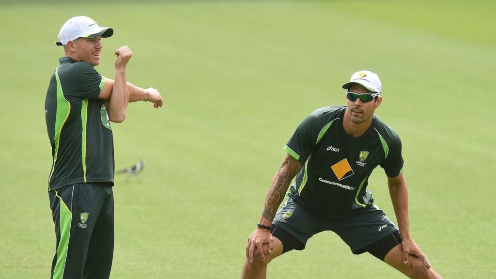 David Warner (left) and Mitchell Johnson during happier times as Australia teammates.