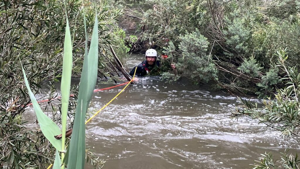 A 29-year-old woman was rescued by police after being seen clutching onto a tree in rapid waters.