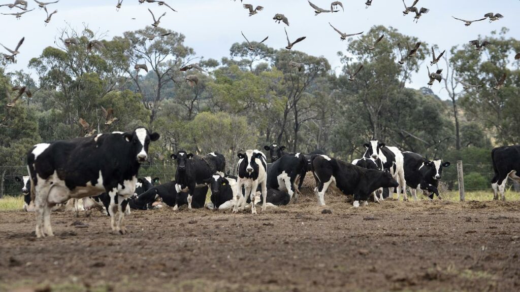 Farmers are concerned about the possible impact of a carbon capture trial in Queensland.