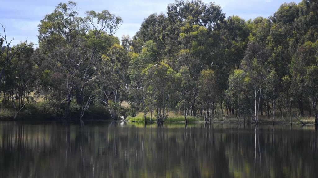 The body of a man has been found after he went overboard from a boat on a Queensland dam.