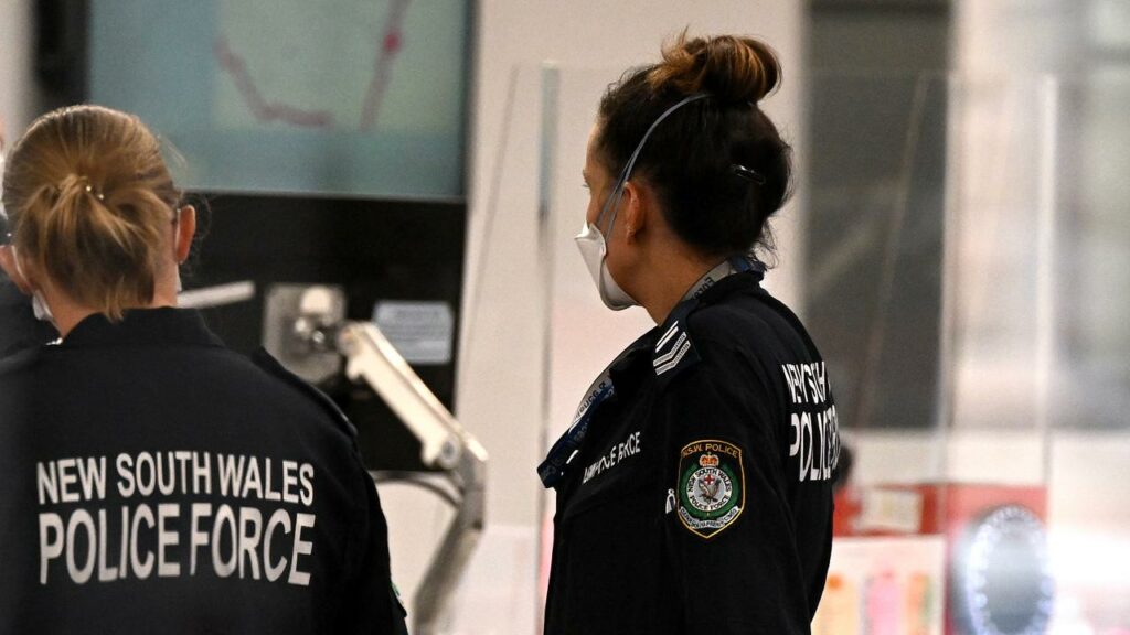 NSW police officers will be able to use a hand-held metal detector without warrants in some areas.

