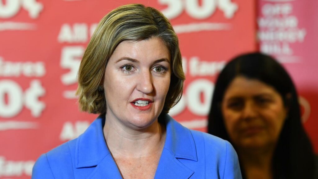 Shannon Fentiman says allowing nurses to prescribe medical abortion drugs will improve access.
