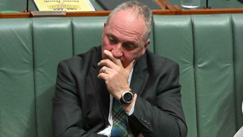 Barnaby Joyce has come under fire for urging people at a rally to use their ballots like bullets.