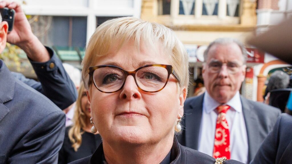 Linda Reynolds said she sent confidential documents to a journalist to expose “corruption”.
