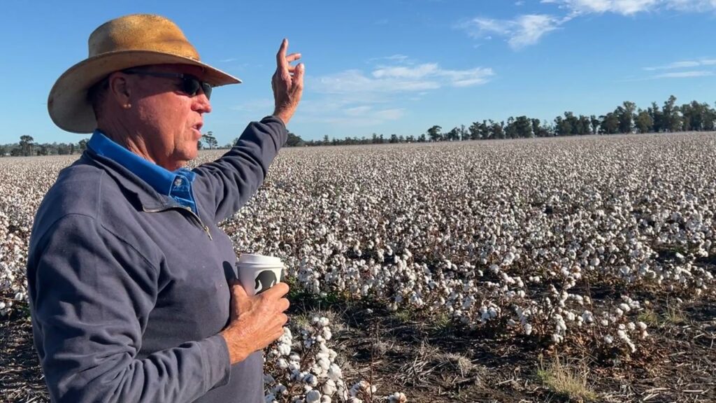 Cotton grower Scott McCalman has spent two decades improving his crop health.
