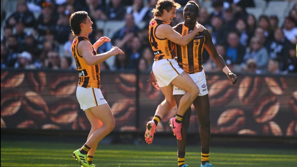 Happy Hawthorn: The Hawks have stormed into the top eight with a 74-point thrashing of Carlton.