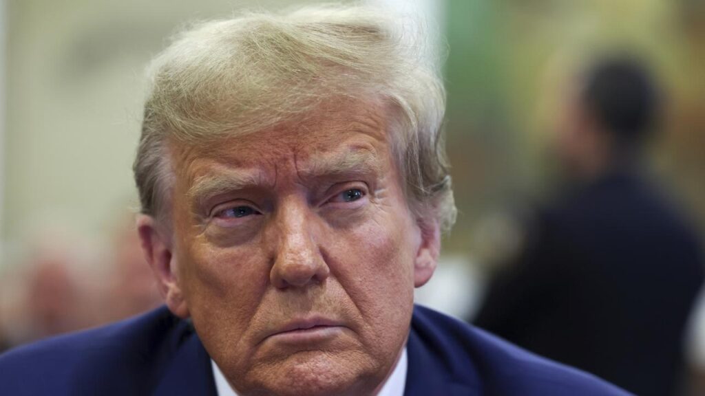 US President-elect Donald Trump has lost his appeal of the E Jean Carroll defamation verdict.