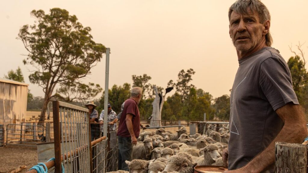 Brett Monaghan moved 400 sheep last week and may have to do so again, as the fire threat grows.