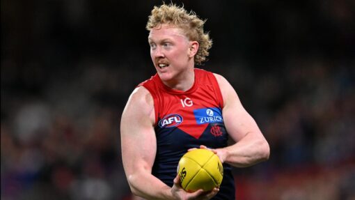 AFL BULLDOGS DEMONS