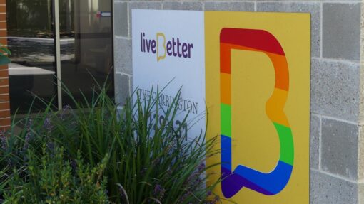 DISABILITY SUPPORT PROVIDER LIVEBETTER