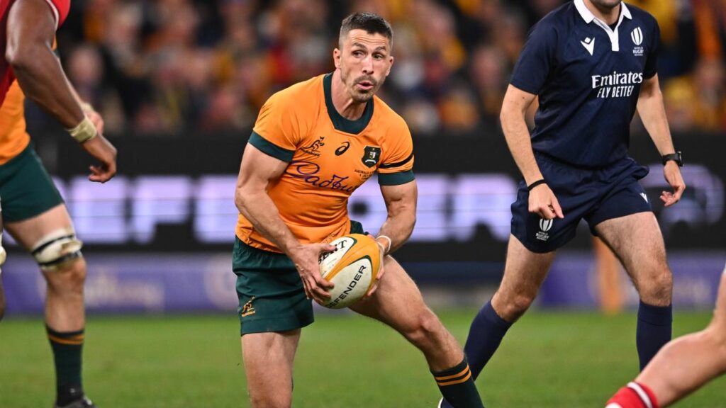 Jake Gordon wants Joe Schmidt to keep a role with the Wallabies after he steps down as coach.