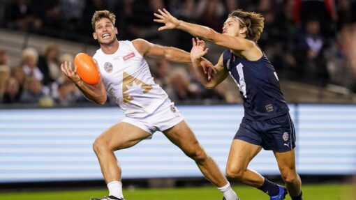 AFL BUSHFIRE RELIEF