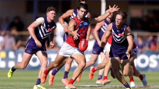 AFL PRE SEASON DOCKERS DEMONS